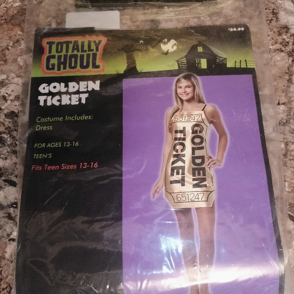 Golden Ticket Costume for Kids - Picture 4 of 4